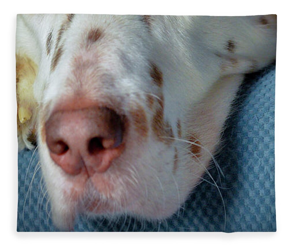 Athos Fleece Blanket featuring the photograph I Am Athos by Jeff Cooper
