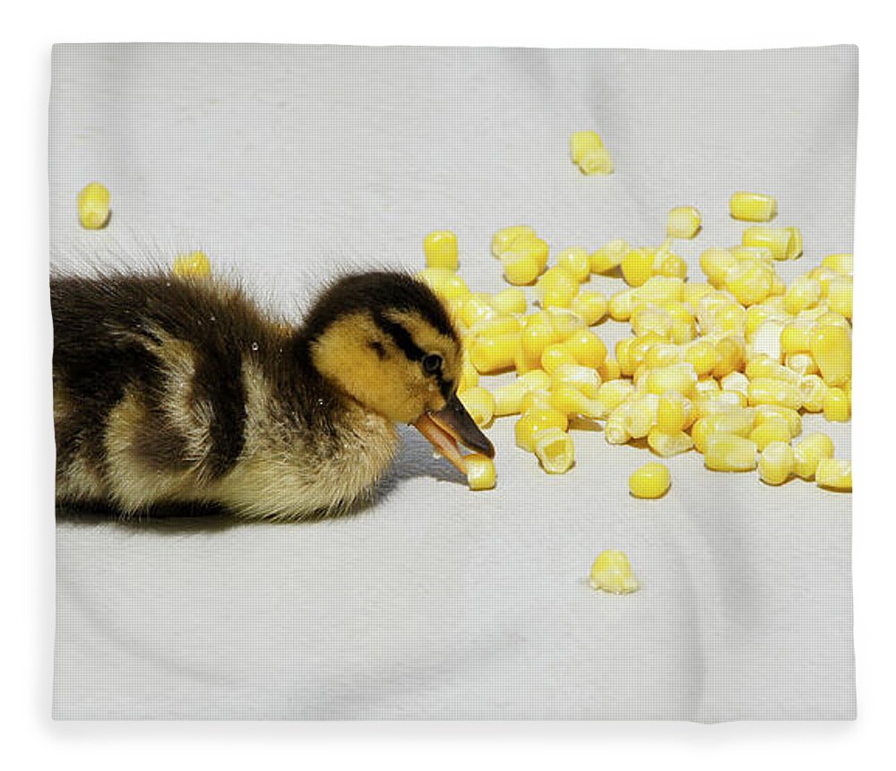 Duck Fleece Blanket featuring the photograph I Love Corn by Michele Burgess