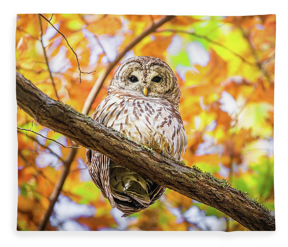 Barred Owl Fleece Blanket featuring the photograph I See You by Jordan Hill