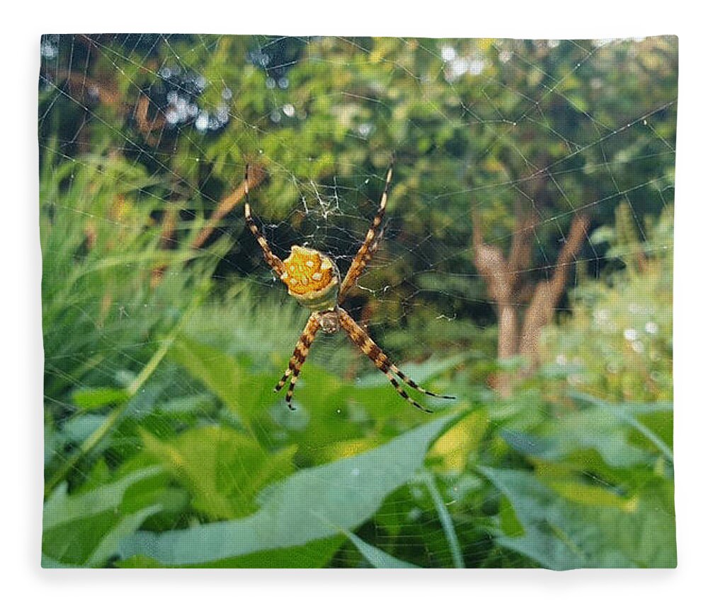 Spider Fleece Blanket featuring the photograph I Web You by Esoteric Gardens KN