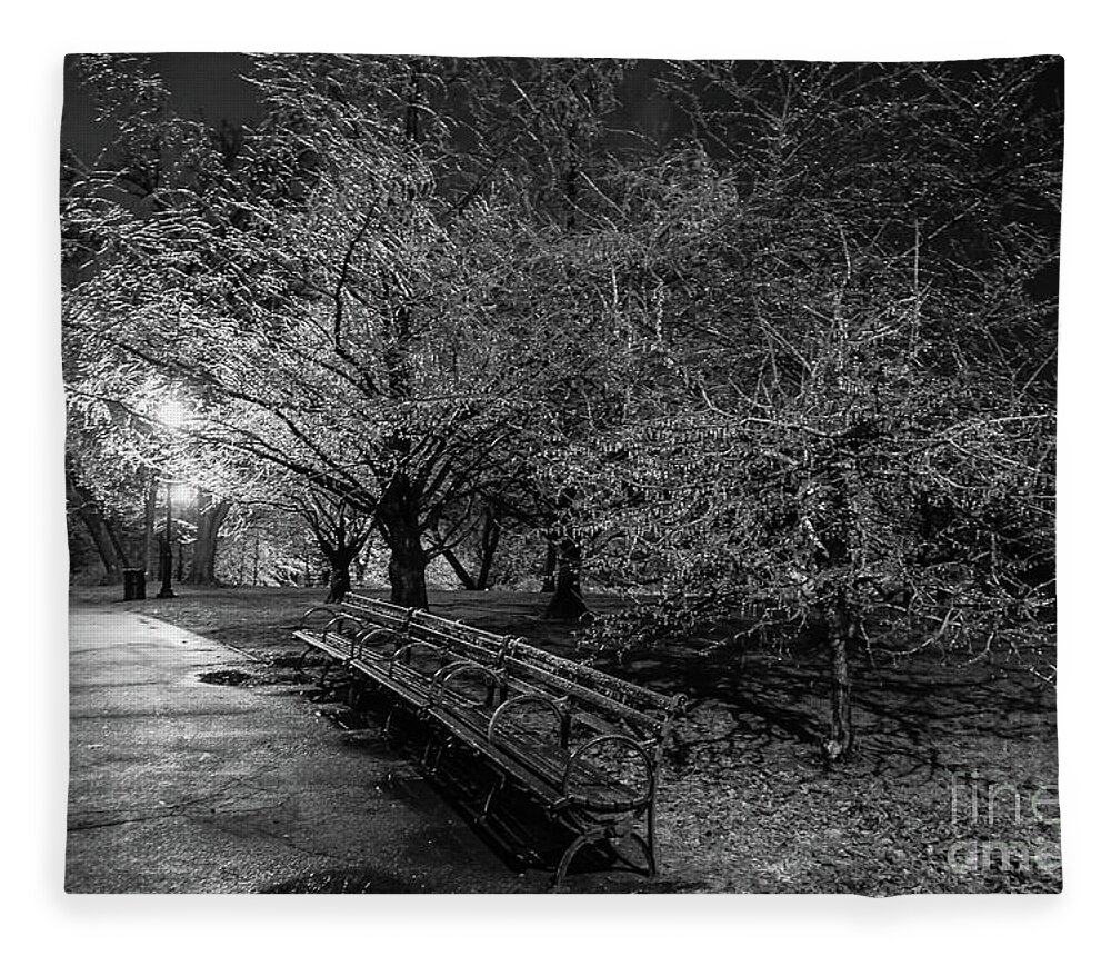 Isham Park Fleece Blanket featuring the photograph Ice Storm, Isham Park, 2020 by Cole Thompson