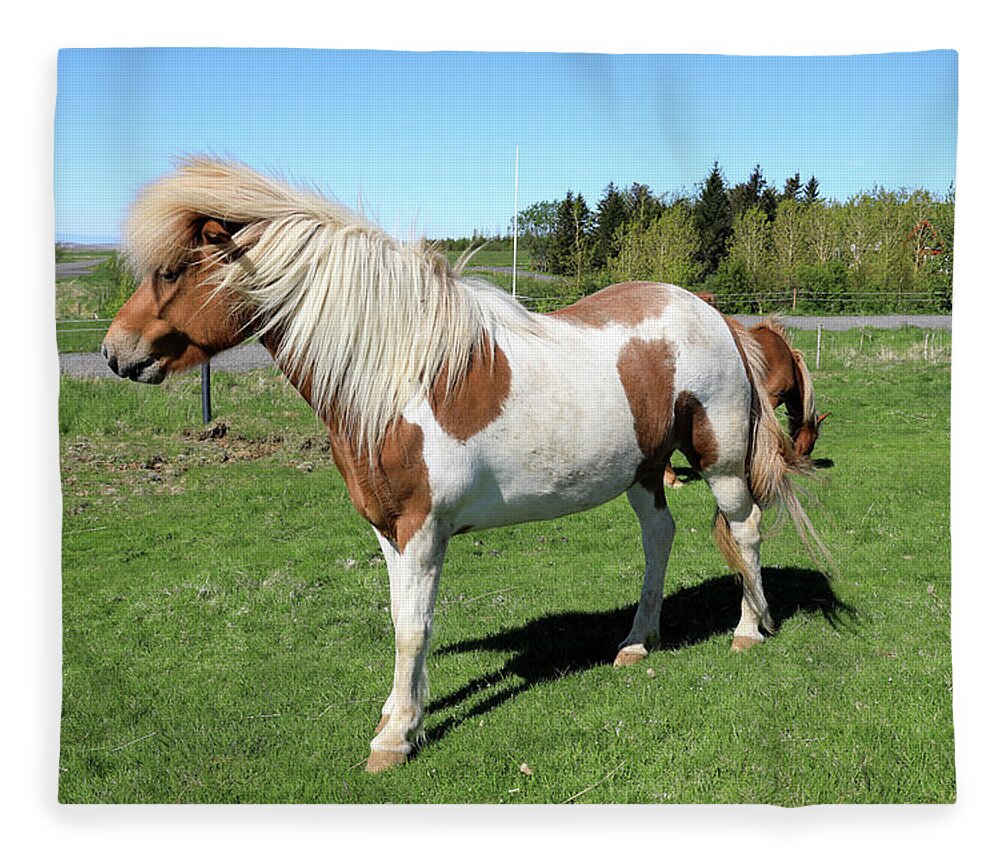 Horse Fleece Blanket featuring the photograph Icelandic Horse by Richard Krebs