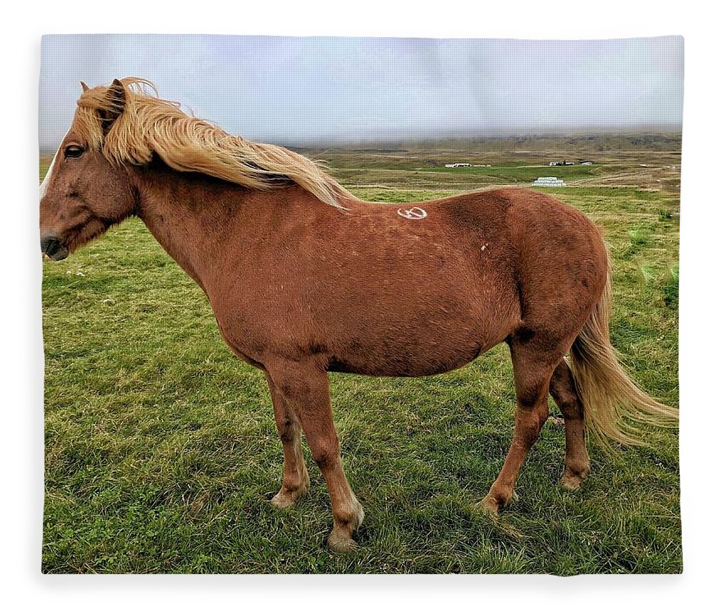 Iceland Fleece Blanket featuring the photograph Icelandic horse by Yvonne Jasinski