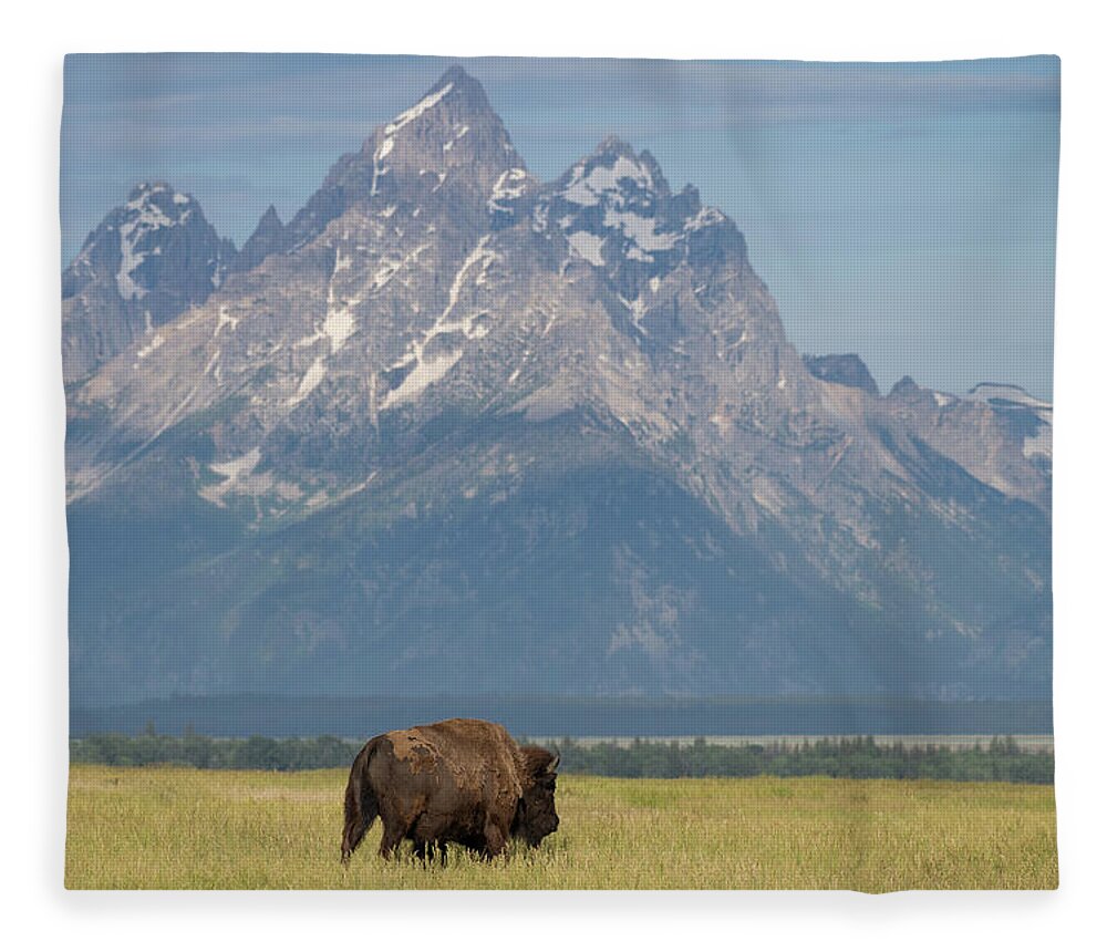 Tetons Fleece Blanket featuring the photograph Iconic by Mary Hone
