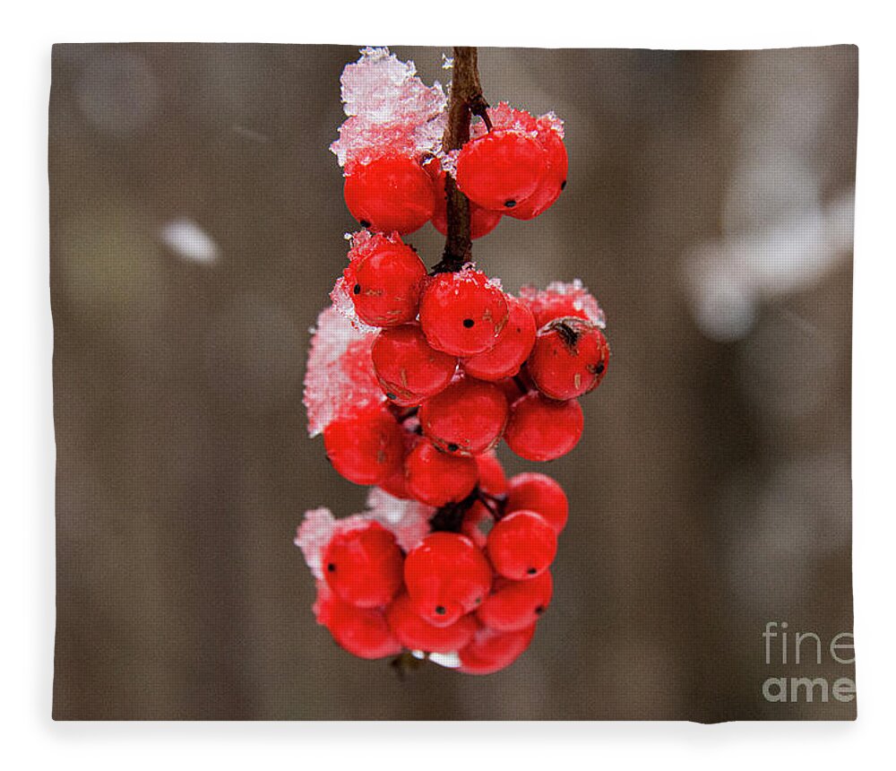 Georgetown Fleece Blanket featuring the photograph Icy Possumhaw Winter Berrys by Bob Phillips