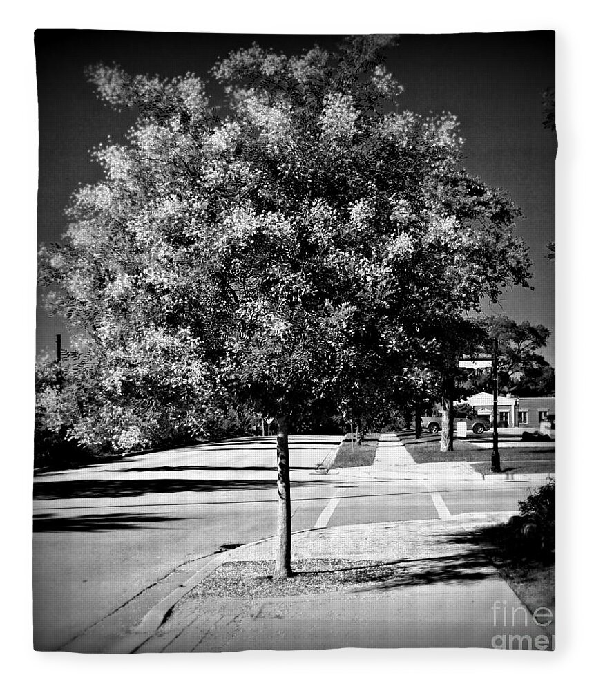 Square Format Fleece Blanket featuring the photograph Illuminated Tree - Holga Effect by Frank J Casella