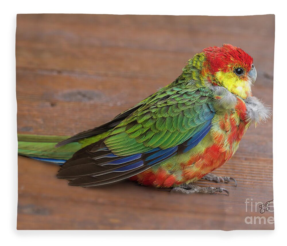 Parrot Fleece Blanket featuring the photograph I'm Stunned by Elaine Teague