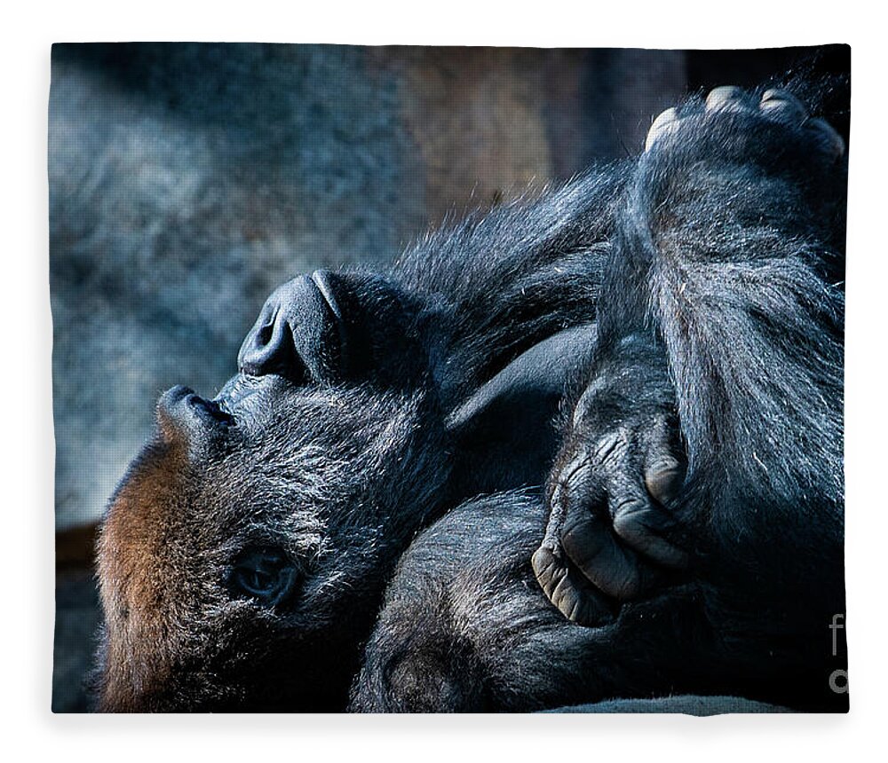 Animals Fleece Blanket featuring the photograph In Deep Thought by David Levin
