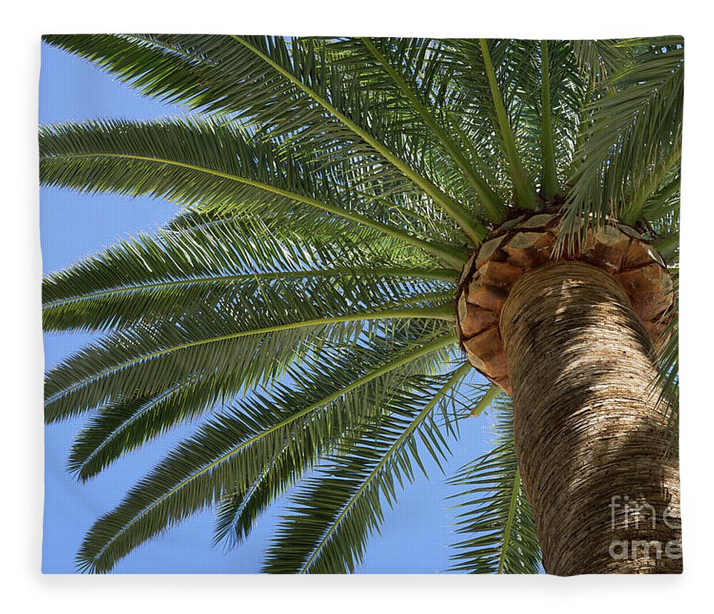 Palm Leaves Fleece Blanket featuring the photograph In the shade of a tall palm tree, summer on the beach by Adriana Mueller