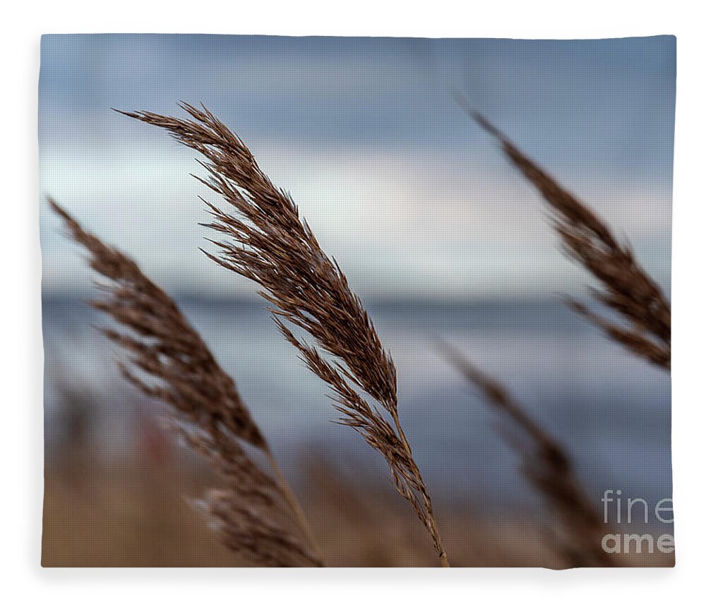 Breeze Fleece Blanket featuring the photograph In the soft Breeze. by Daniel M Walsh