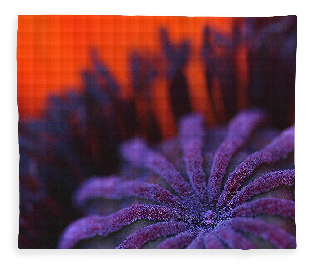 Flower Fleece Blanket featuring the photograph Inside Poppy by Julie Powell