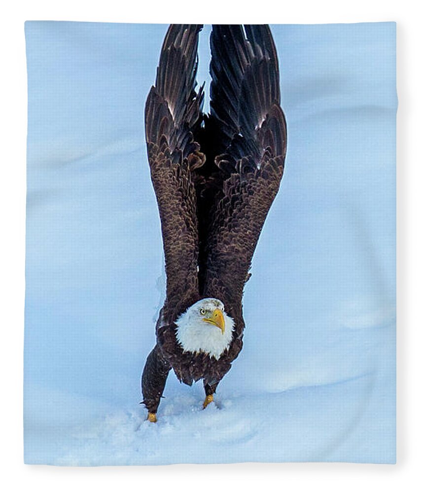 Eagle Fleece Blanket featuring the photograph Intention by Kevin Dietrich