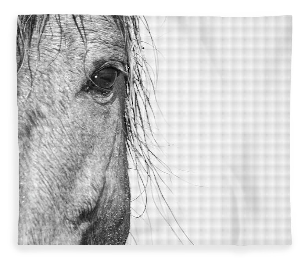 Wild Fleece Blanket featuring the photograph Intimate Wild Horse Portrait - North Carolina Outer Banks by Bob Decker