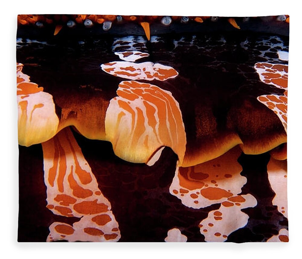 Oyster Fleece Blanket featuring the photograph Intricate invertebrate by Artesub