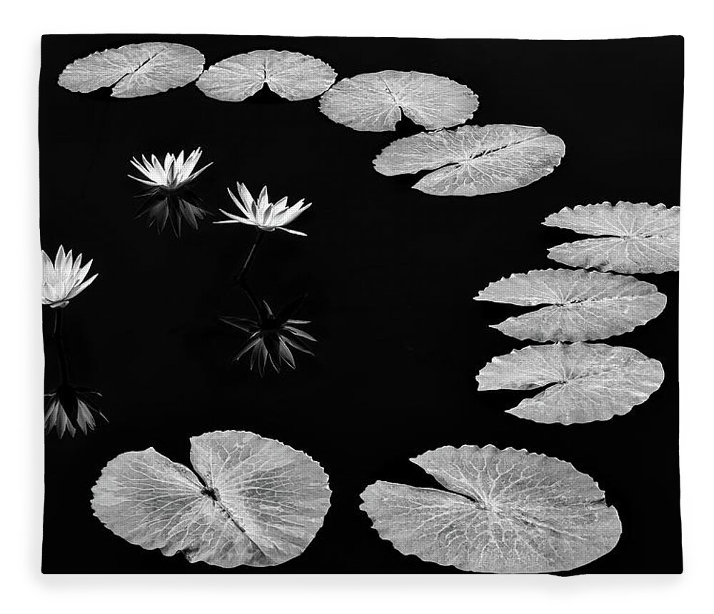 Water Lilies Fleece Blanket featuring the photograph Invisible Connection by Elvira Peretsman