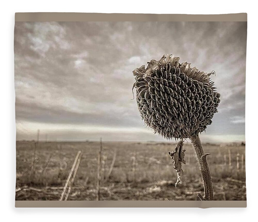 Iphonography Fleece Blanket featuring the photograph iPhonography Sunflower 1 by Julie Powell