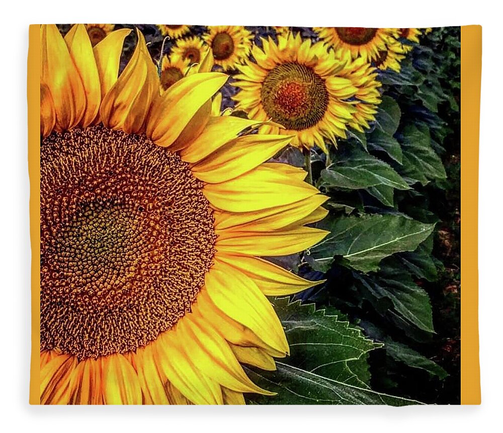 Iphonography Fleece Blanket featuring the photograph Iphonography Sunflower 3 by Julie Powell