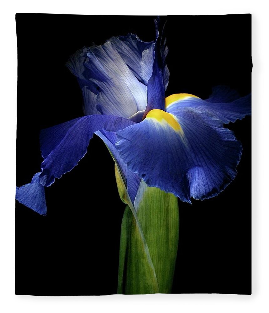 Macro Fleece Blanket featuring the photograph Iris 041907 by Julie Powell