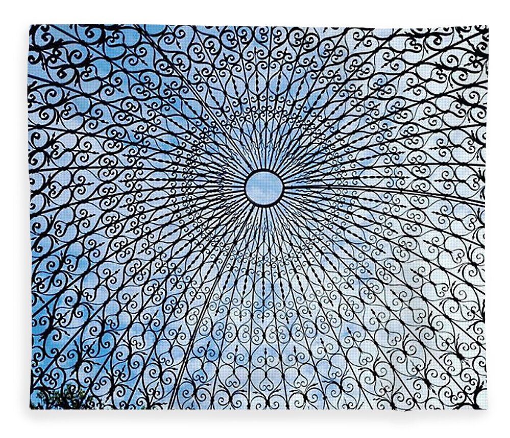 Iron Fleece Blanket featuring the photograph Iron Lace Dome by Vicki Noble