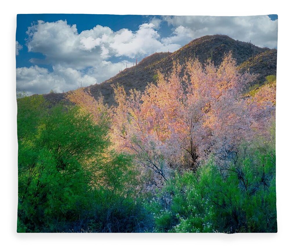 Waywardmuse Fleece Blanket featuring the photograph Ironwood Flame by Judy Kennedy