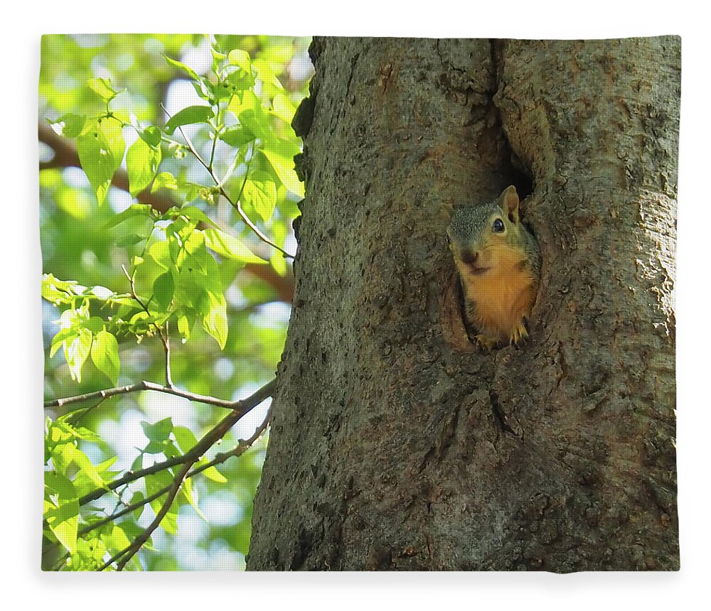 Squirrel Fleece Blanket featuring the photograph Is That You by C Winslow Shafer
