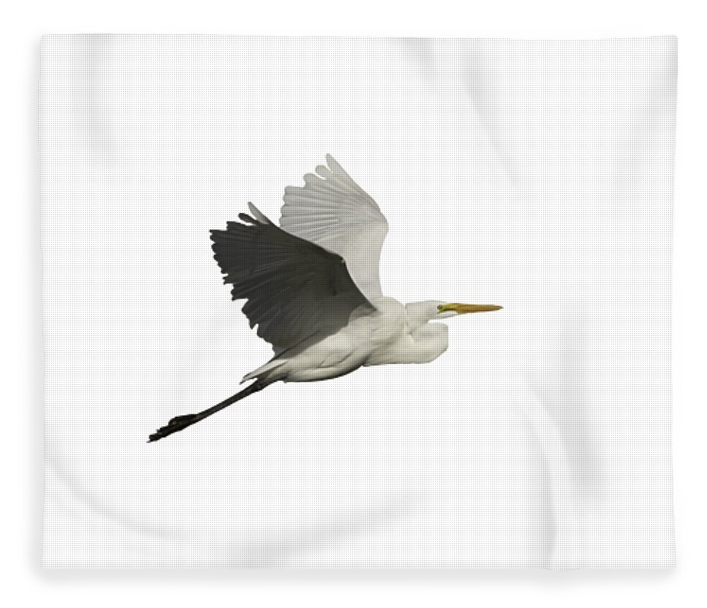 Great Egret Fleece Blanket featuring the photograph Isolated Great Egret 2016 by Thomas Young