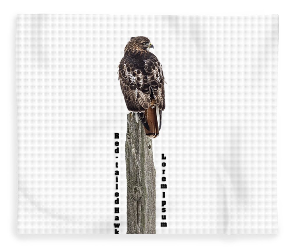 Red-tailed Hawk Fleece Blanket featuring the photograph Isolated Red-tailed Hawk 2019 by Thomas Young