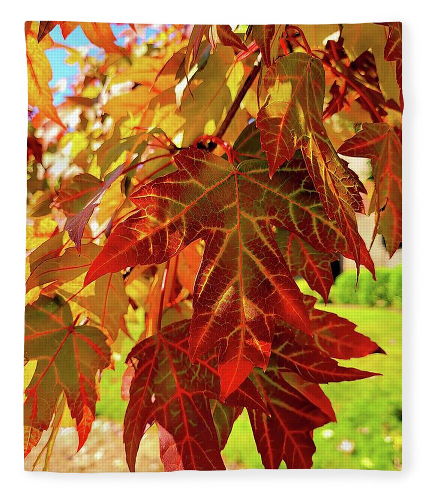 Leaves Fleece Blanket featuring the photograph It Is Time by Roberta Byram