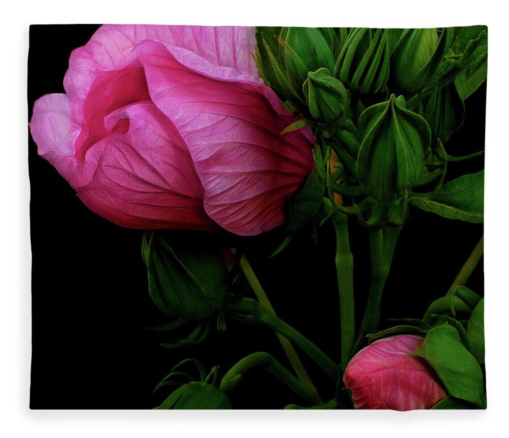 Hibiscus Fleece Blanket featuring the photograph Its A Matter Of Persective by Cynthia Dickinson
