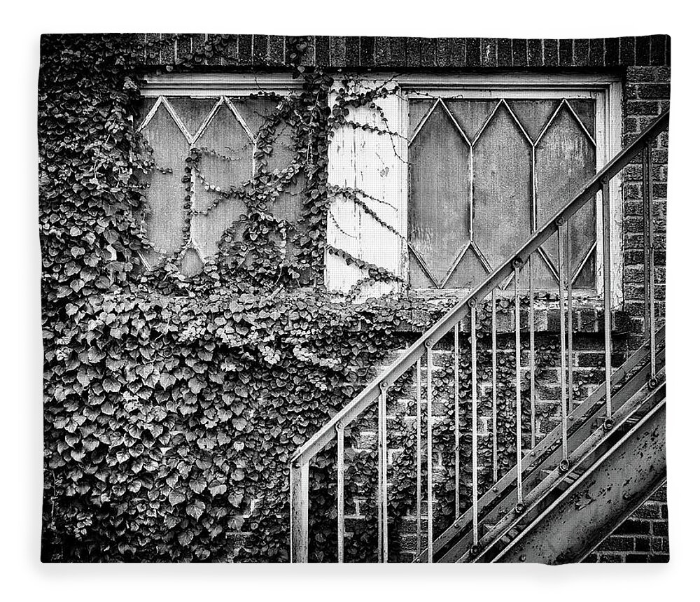  Fleece Blanket featuring the photograph Ivy, Window And Stairs by Steve Stanger