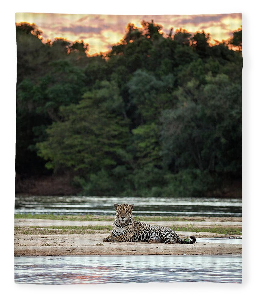 00536728 Fleece Blanket featuring the photograph Jaguar along Cuiaba River by Suzi Eszterhas