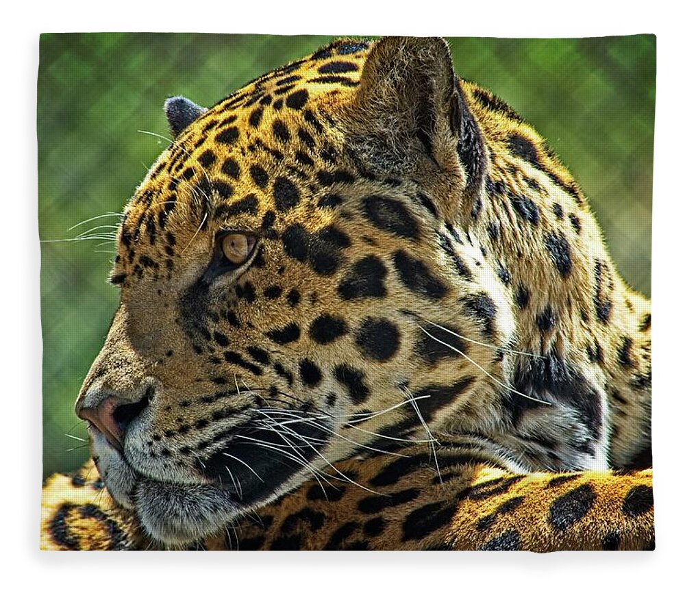 Mammal Fleece Blanket featuring the photograph Jaguar Profile by David Desautel