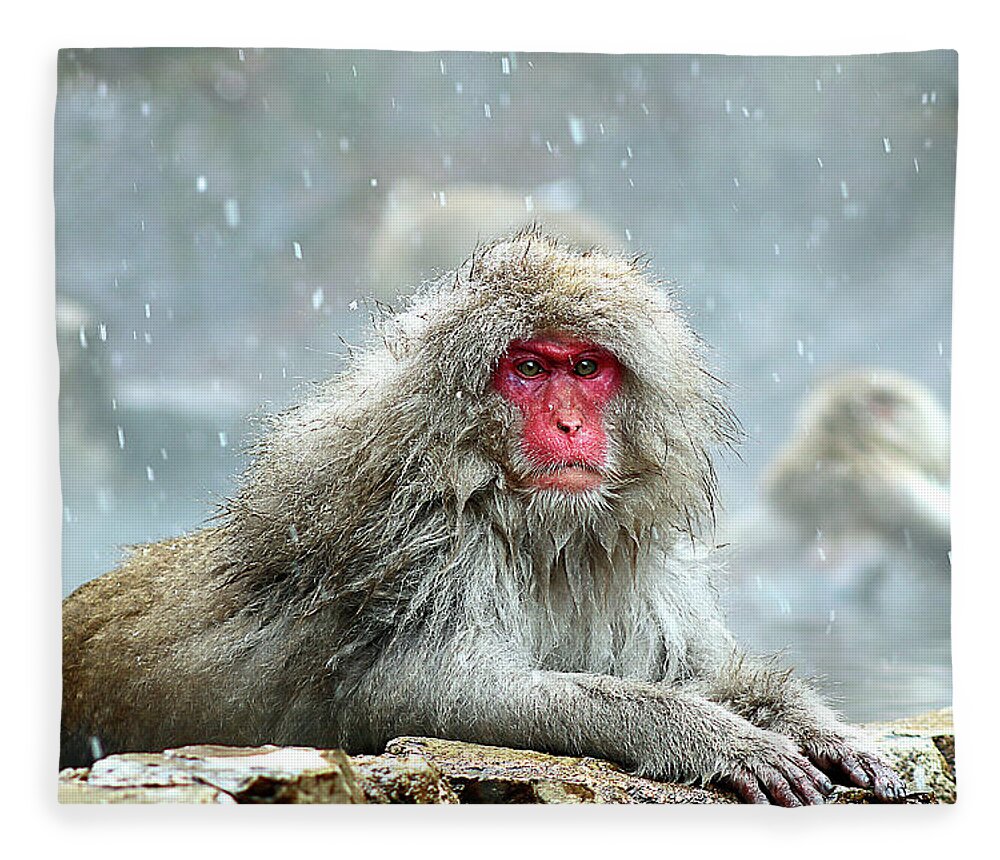 Fleece Blanket featuring the photograph Japan 48 by Eric Pengelly