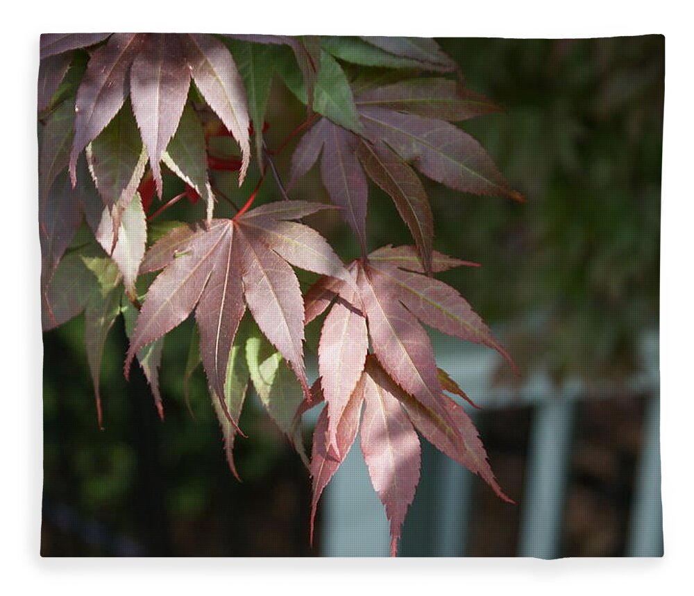  Fleece Blanket featuring the photograph Japanese Maple by Heather E Harman