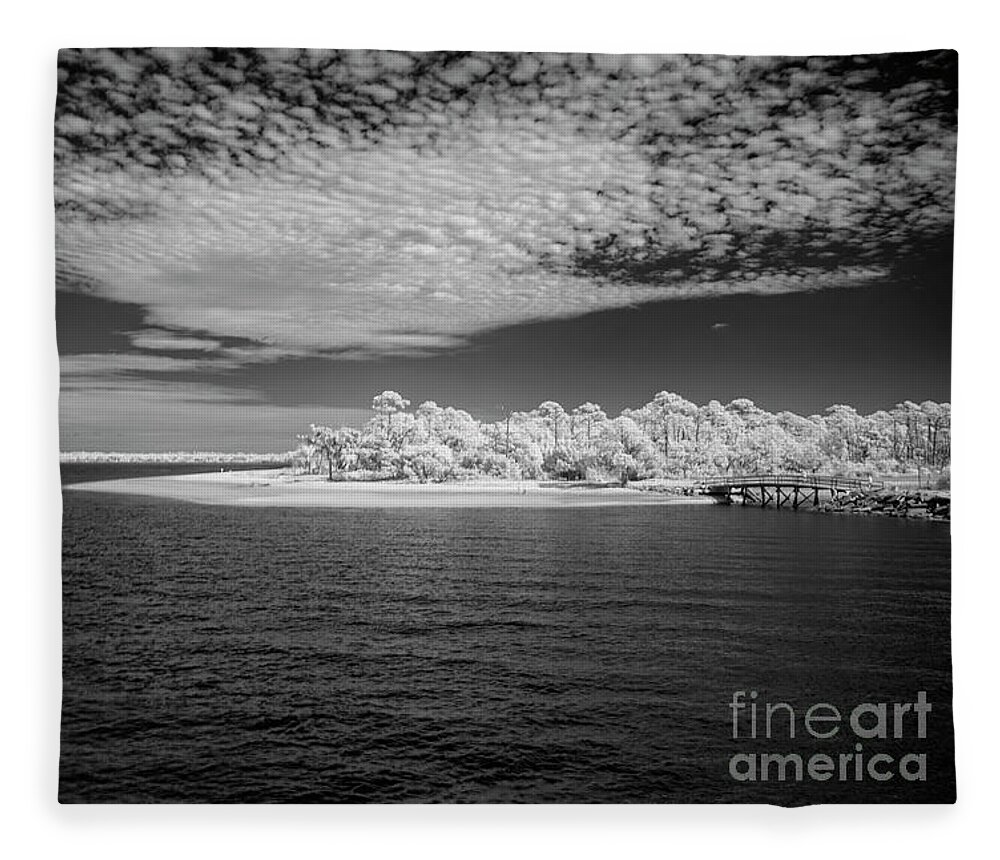 Black Fleece Blanket featuring the photograph Jekyll Island Treasure in Black and White Infrared PhotoArt by DB Hayes