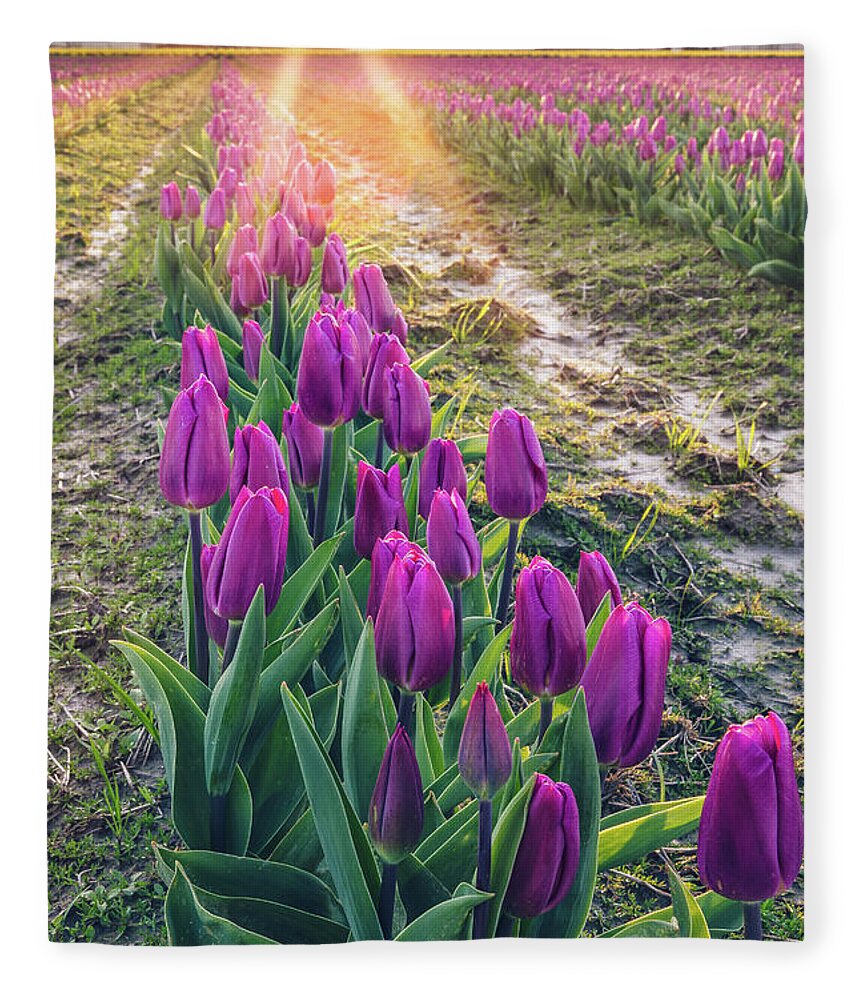 Tulips Fleece Blanket featuring the photograph Jewel Tone Tulips by Michael Rauwolf