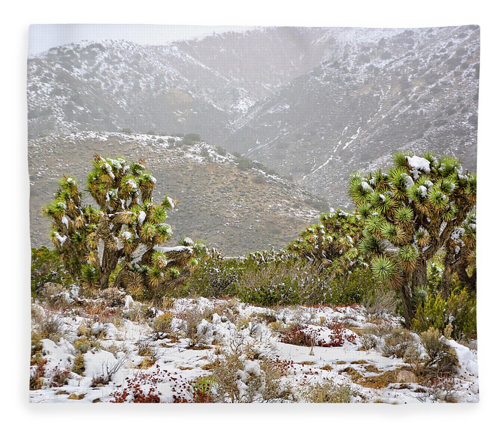 Joshua Trees Fleece Blanket featuring the photograph Joshua Tree Snowy Landscape by Brian Tada