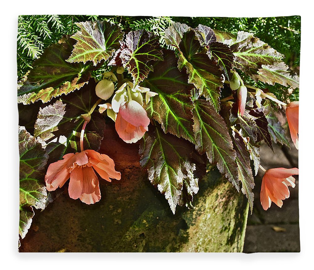 Begonia Fleece Blanket featuring the photograph July Garden Visit Orange Begonia by Janis Senungetuk