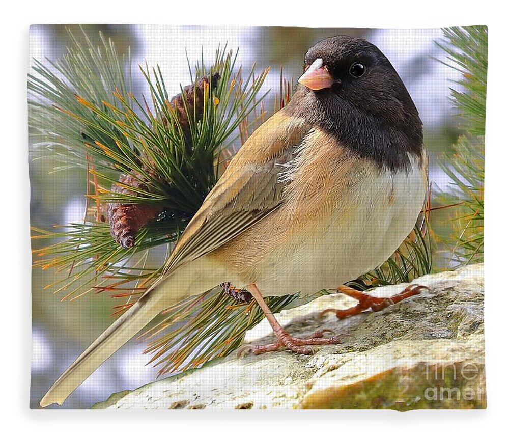 Junco Fleece Blanket featuring the photograph Junco And Pine by Kimberly Furey