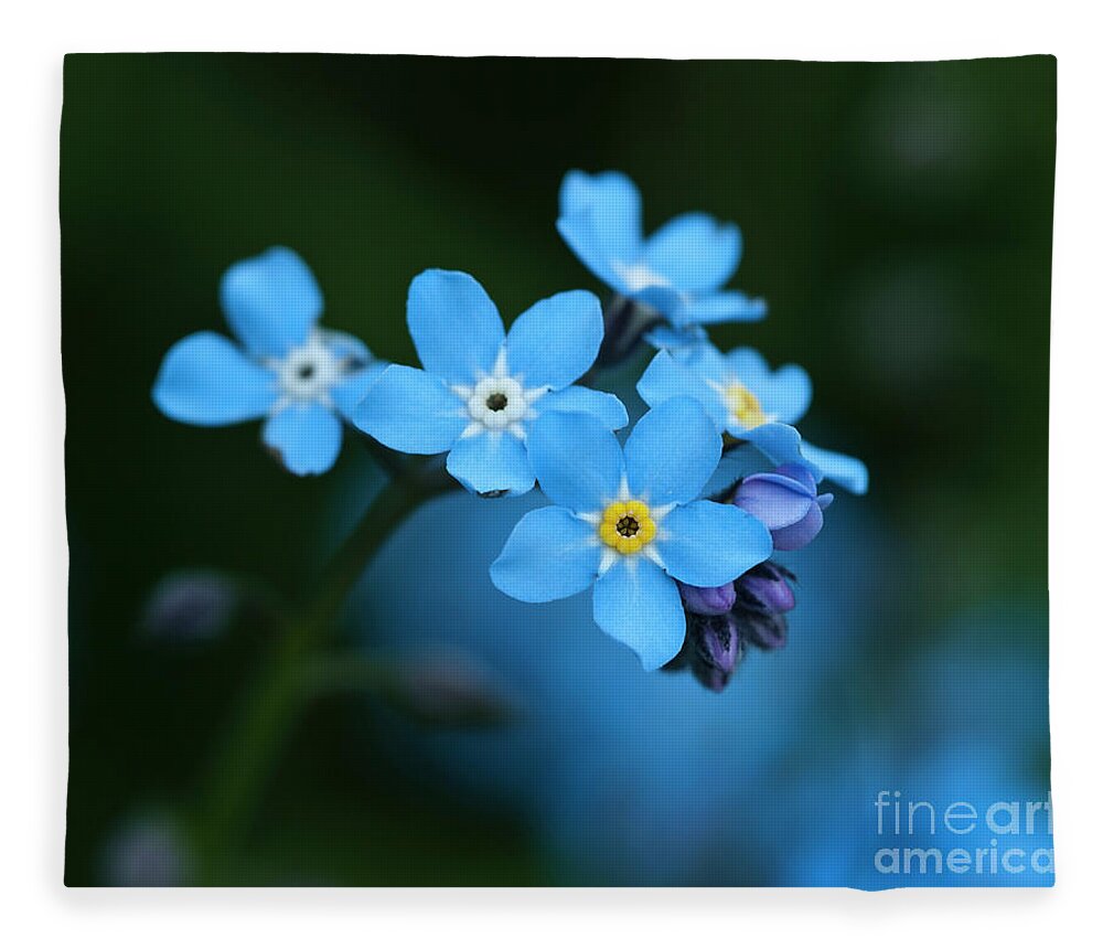 Beauty Forget-me-not Blue Tender Delicate Gentle Subtle Pastel Appealing Idyllic Flower Flowering Blooming Beautiful Delightful Yellow Macro Micro Close Up Serenity Happy Joyful Pretty Greeting Card Evocative Effective Aesthetic Charming Charm Solitude Elegant Impressions Emotional Watercolor Cheer Vivid Bright Pleasant Still-life Decorative Cheerful Joy Smiling Lanterns Lighting Inspiration Glowing Inspirational Harmony Sweet Magic Colorful Captivating Radiant Merry Vibrant Poetic Fantastic Awe Fleece Blanket featuring the photograph Just A Beauty by Tatiana Bogracheva