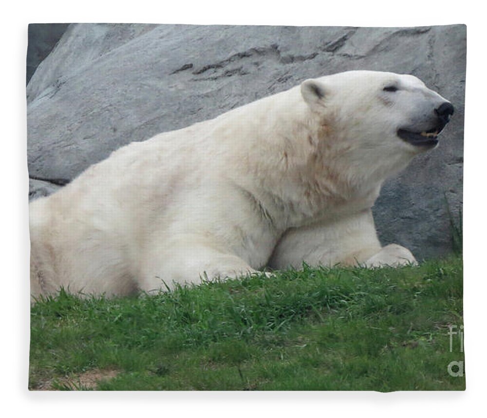 Wildlife Fleece Blanket featuring the photograph Keen Sense by Mary Mikawoz
