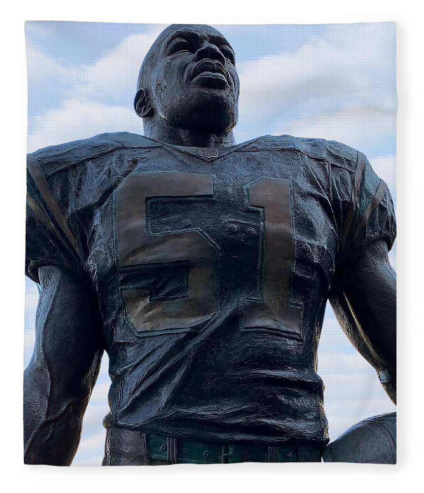 Sam Mills Fleece Blanket featuring the photograph Keep Pounding by Lee Darnell