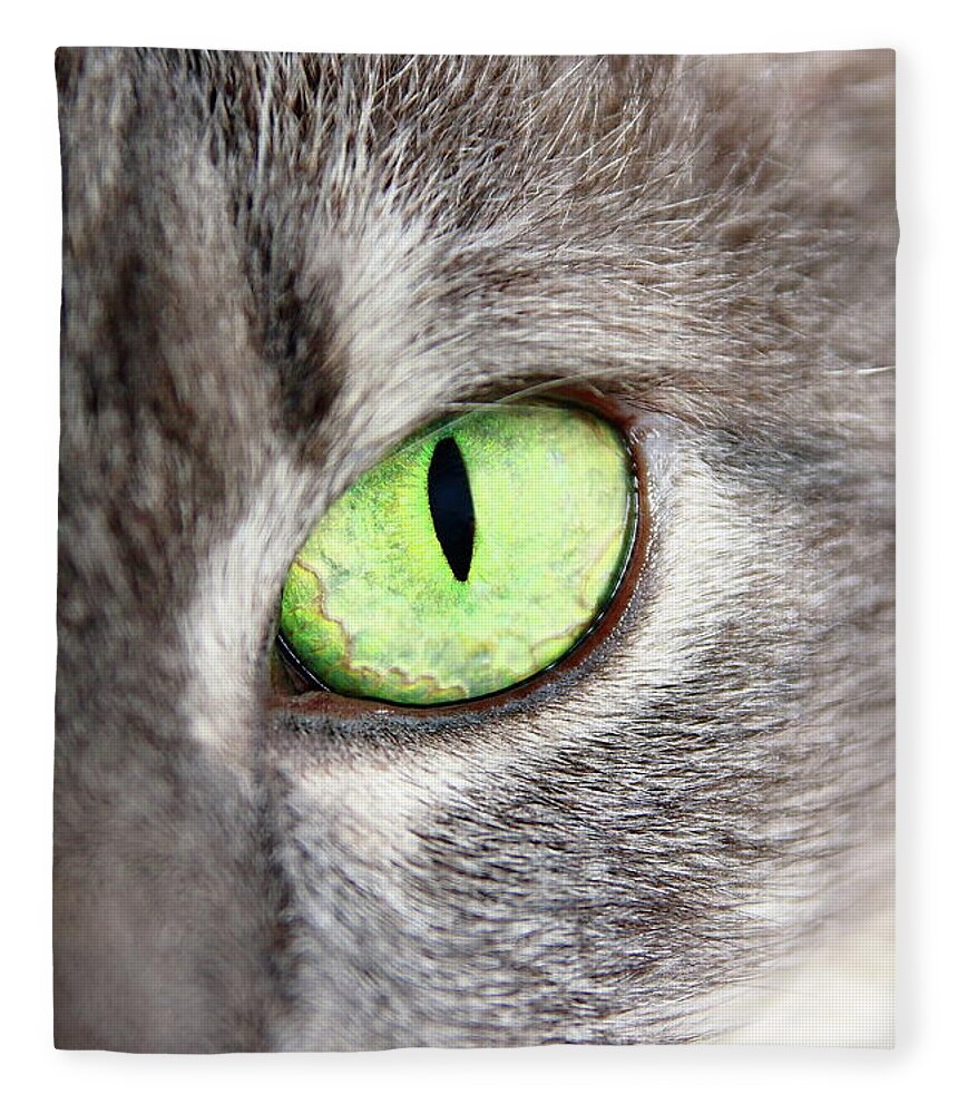 Cat Fleece Blanket featuring the photograph Keeping An Eye On You by Lens Art Photography By Larry Trager