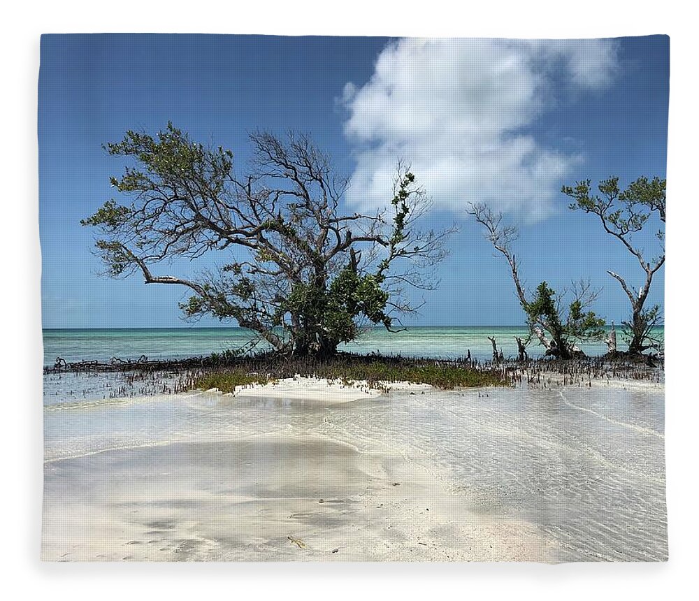 Key West Florida Waters Fleece Blanket featuring the photograph Key West Waters by Ashley Turner