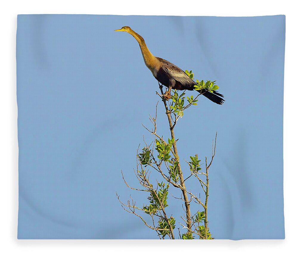 R5-2630 Fleece Blanket featuring the photograph King of the Marsh by Gordon Elwell