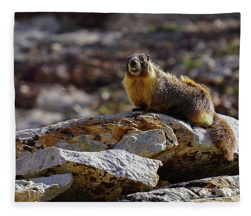 Marmot Fleece Blanket featuring the photograph King of the Rock by Brett Harvey