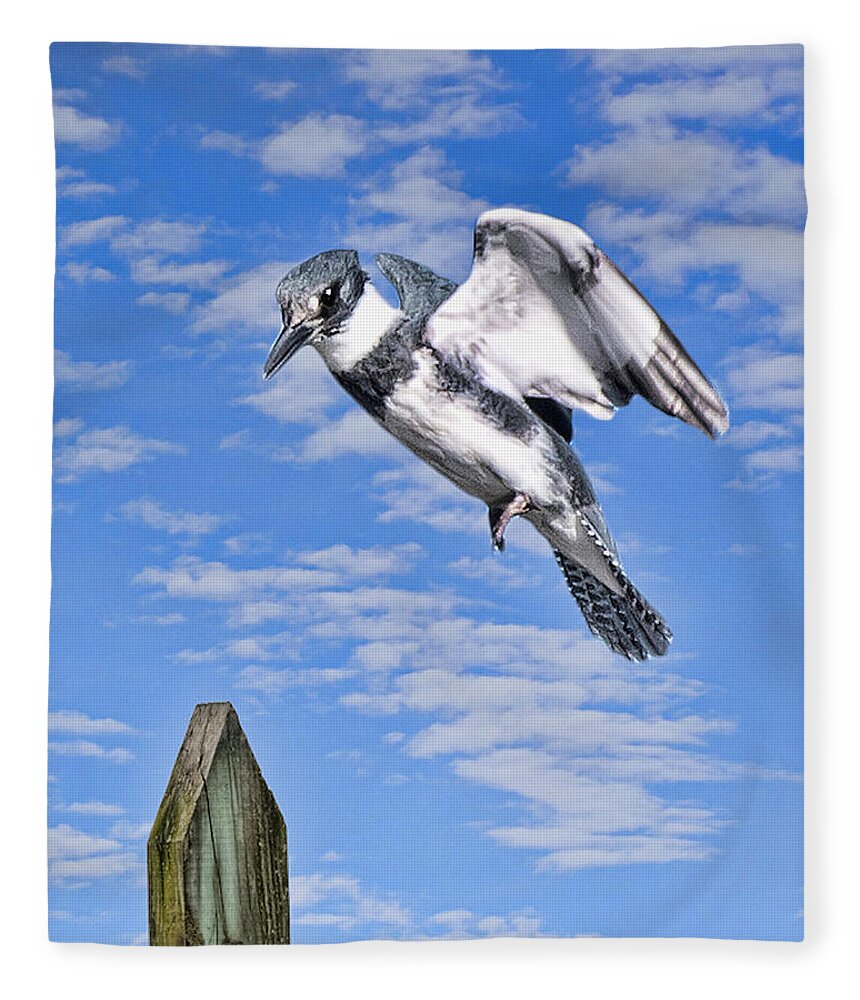 Kingfisher Fleece Blanket featuring the photograph Kingfisher by Joe Granita