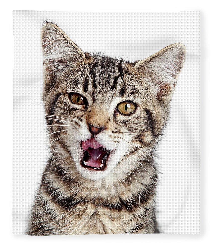 Adorable Fleece Blanket featuring the photograph Kitten Hungry Mouth Open Wide by Good Focused