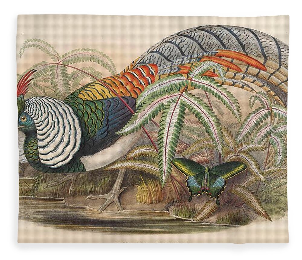 John Fleece Blanket featuring the mixed media Lady Amherst's Pheasant by World Art Collective