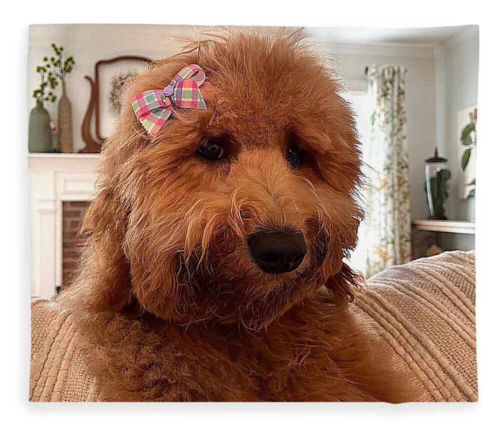 Goldendoodle Fleece Blanket featuring the photograph Ladybird by Lee Darnell